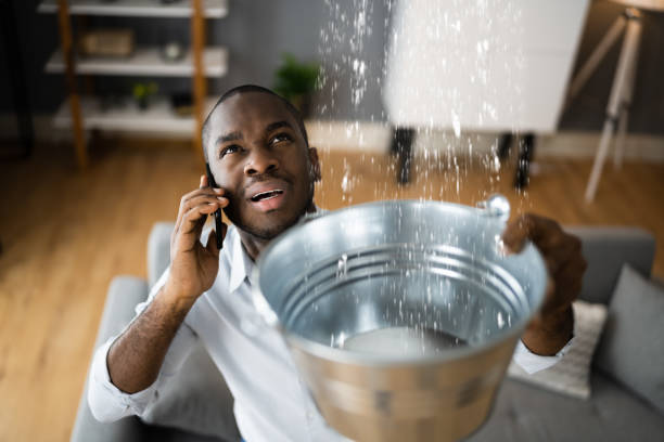 Best Water damage mitigation services  in Hazardville, CT