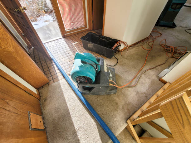 Best Local water damage restoration  in Hazardville, CT