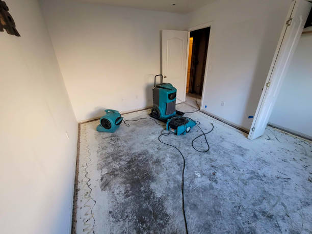Best Water damage restoration mold remediation  in Hazardville, CT