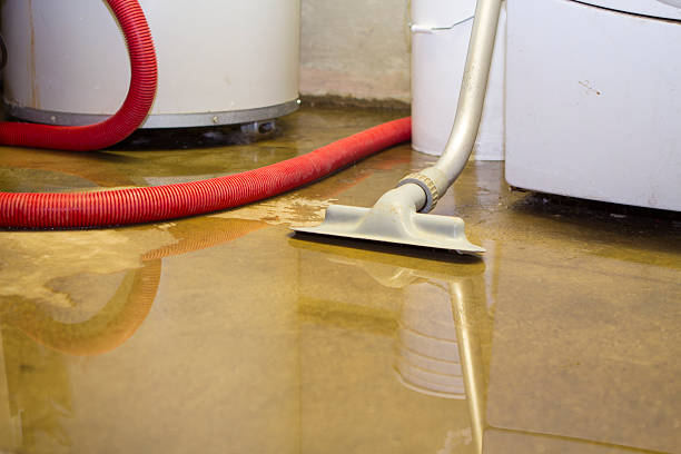 Best Water damage cleanup near me  in Hazardville, CT