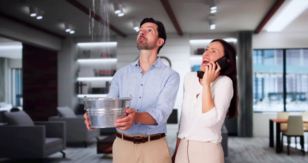 Best Water damage restoration near me  in Hazardville, CT